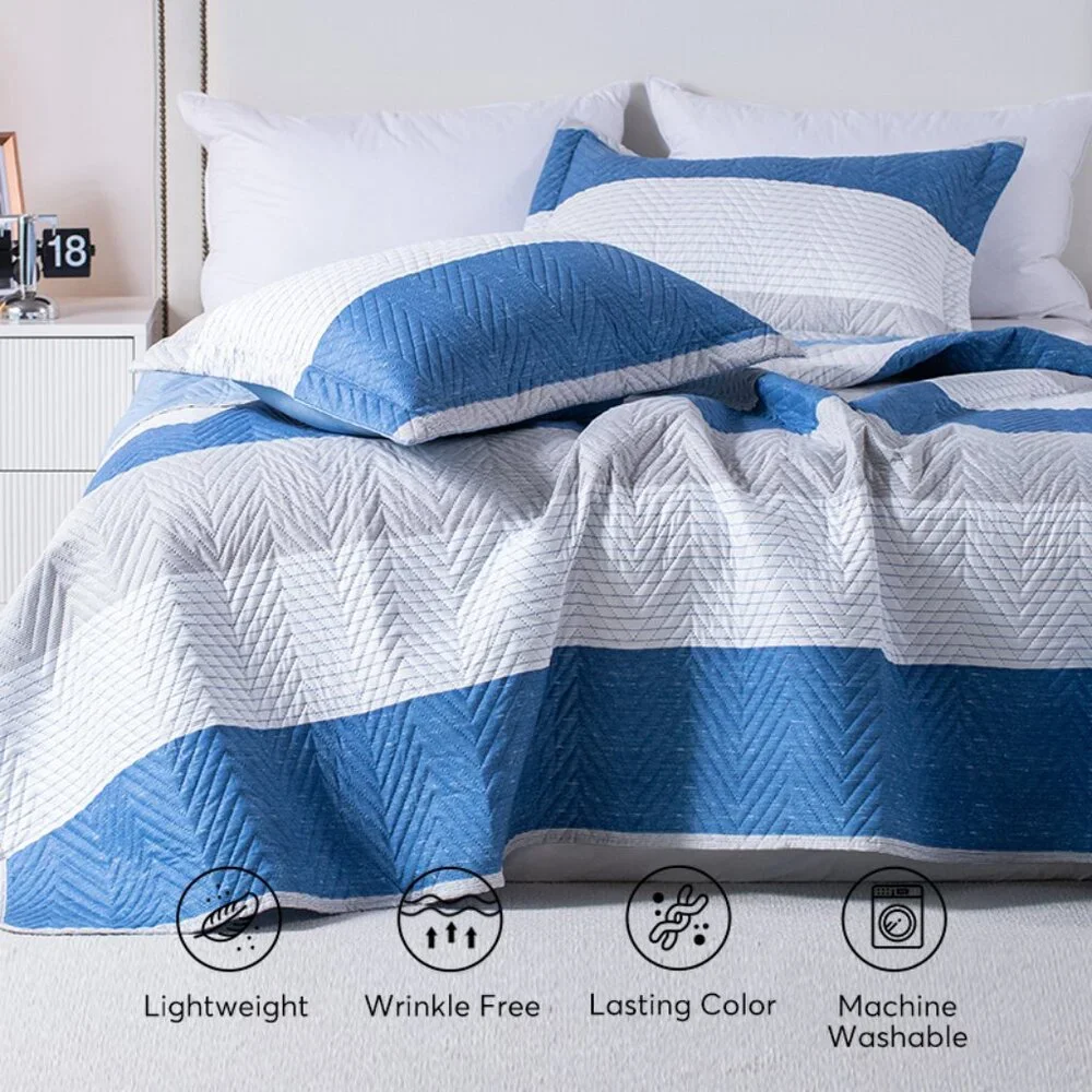 Queen - Soft & Cozy Blue and White Quilt Set
